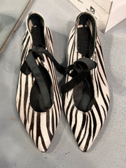 1066 ZEBRA BABET