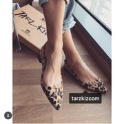AZUR LEOPAR SİVRİ BURUN BABET